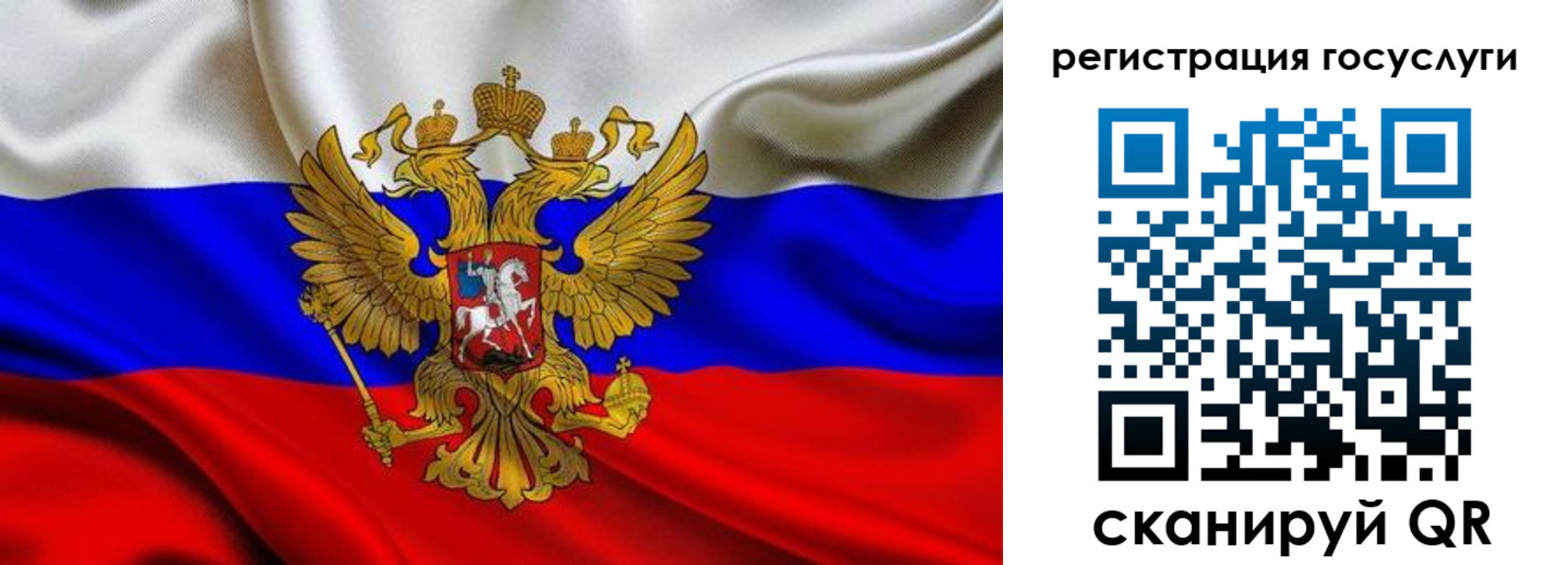 прописка гарантия в Лосино-Петровском